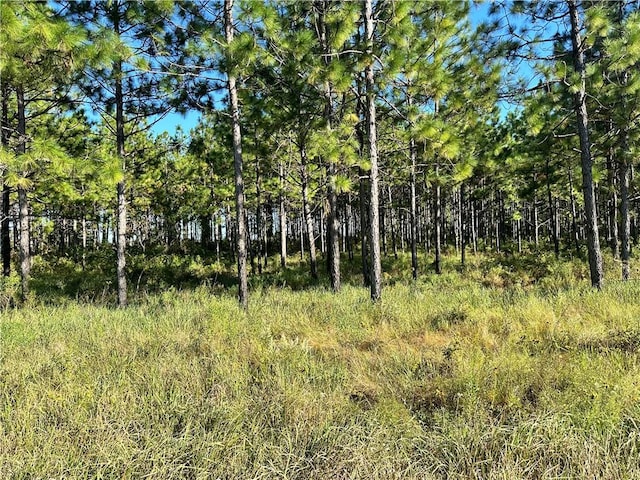 Listing photo 3 for 0 Red Fox Rd, Mount Vernon AL 36560