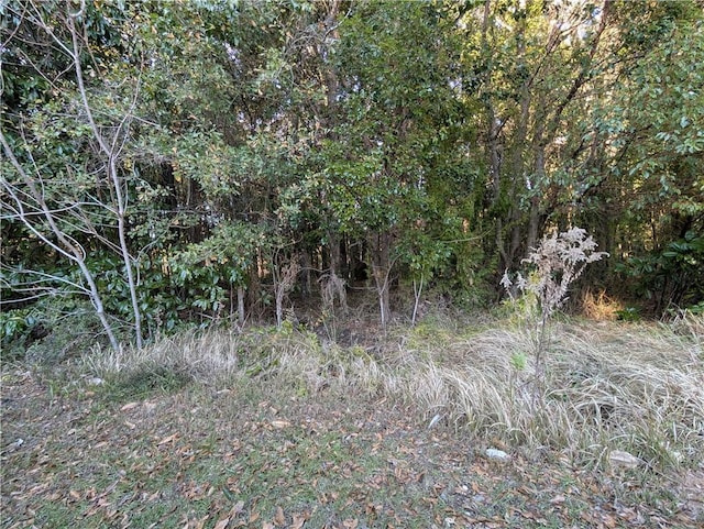 Listing photo 2 for 0 Cedar St, Grand Bay AL 36544