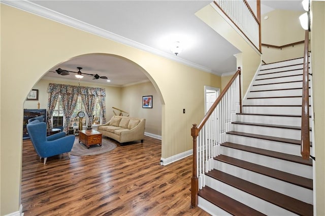 living room with dark wood-type flooring, ceiling fan, and ornamental molding