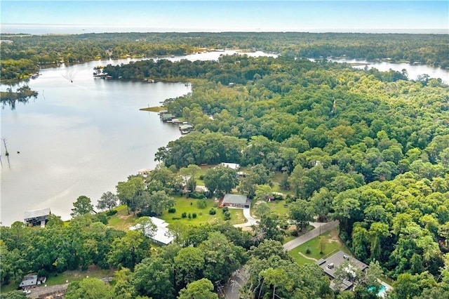 2000 Riverview Ave, Mobile, AL 36605 - aerial view of property's location with a large body of water and a heavily wooded area