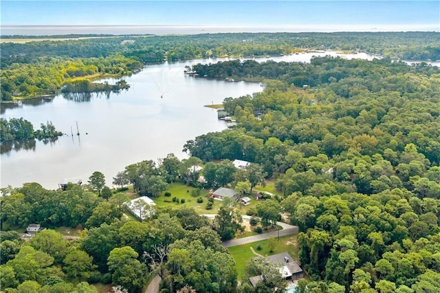 2000 Riverview Ave, Mobile, AL 36605 - aerial view of a large body of water and a forest