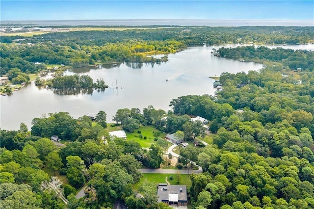 2000 Riverview Ave, Mobile, AL 36605 - aerial view of a large body of water and a heavily wooded area