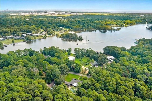 2000 Riverview Ave, Mobile, AL 36605 - aerial view of a heavily wooded area and a large body of water