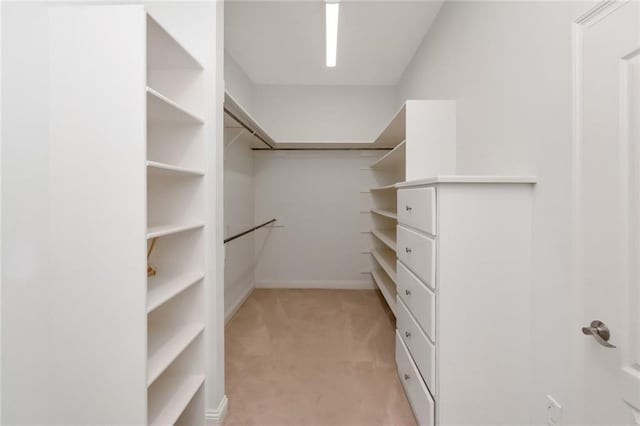 spacious closet featuring light carpet