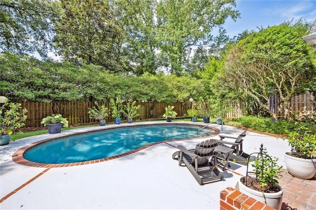 view of swimming pool featuring a patio, a fenced backyard, and a fenced in pool