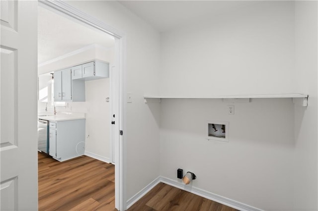 washroom featuring hardwood / wood-style floors, hookup for a washing machine, and sink