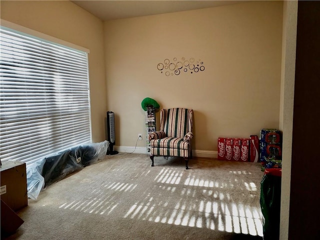 sitting room featuring baseboards and carpet flooring