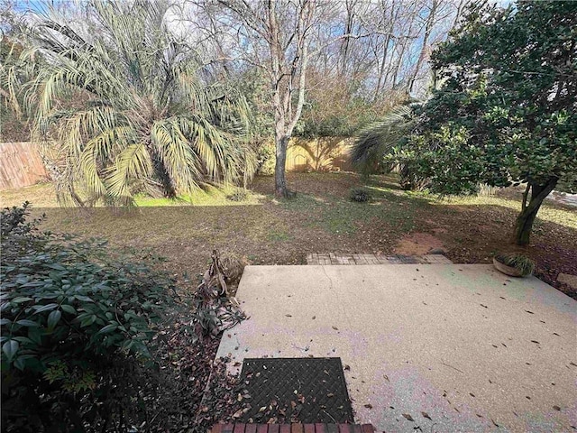 view of yard featuring a patio