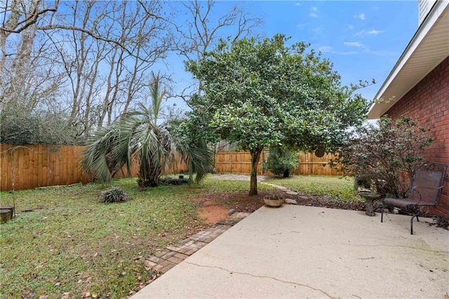 view of yard featuring a patio