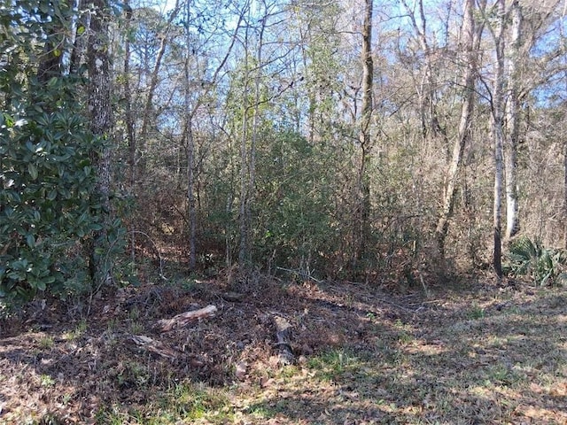 Listing photo 3 for 0 Lind St, Saraland AL 36571