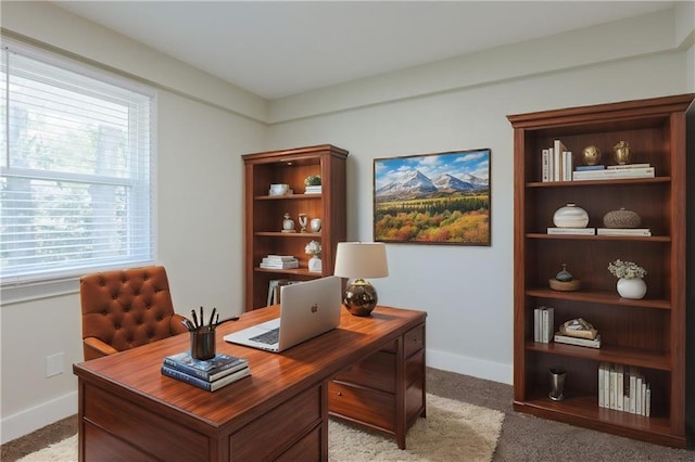 office with light colored carpet, baseboards, and plenty of natural light