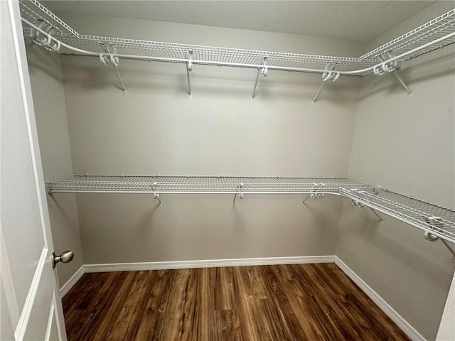 spacious closet with dark hardwood / wood-style flooring