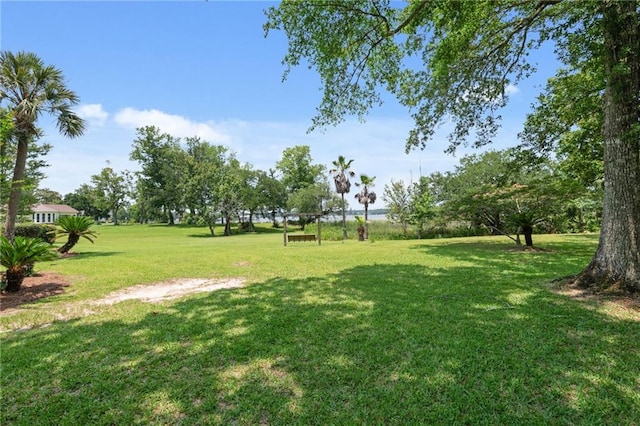 2924 Riverview Pointe Dr S, Theodore, AL 36582 - view of grassy yard
