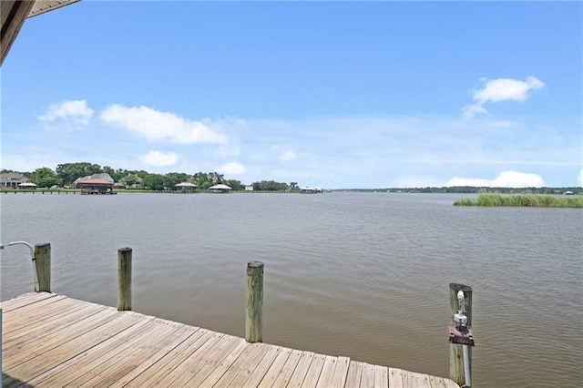 2924 Riverview Pointe Dr S, Theodore, AL 36582 - dock with a water view