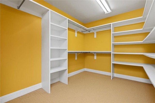2924 Riverview Pointe Dr S, Theodore, AL 36582 - spacious closet with carpet floors