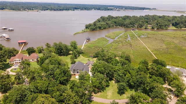 2924 Riverview Pointe Dr S, Theodore, AL 36582 - drone / aerial view of a large body of water