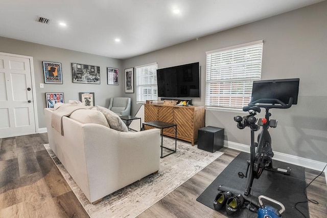 living room with hardwood / wood-style flooring and a wealth of natural light