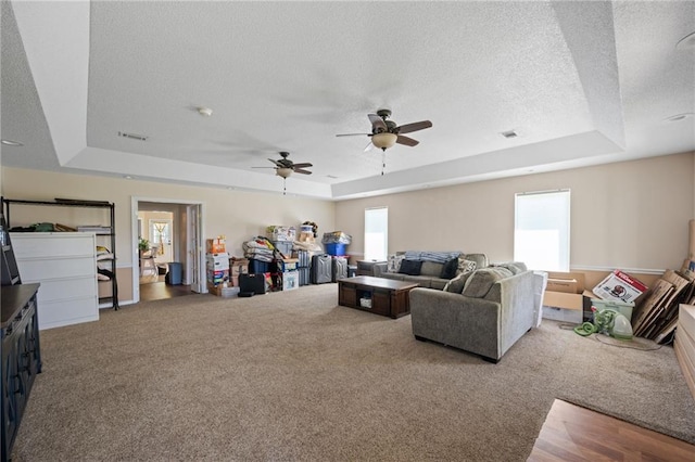 18141 Pennsylvania St, Robertsdale, AL 36567 - living area with carpet floors and a raised ceiling