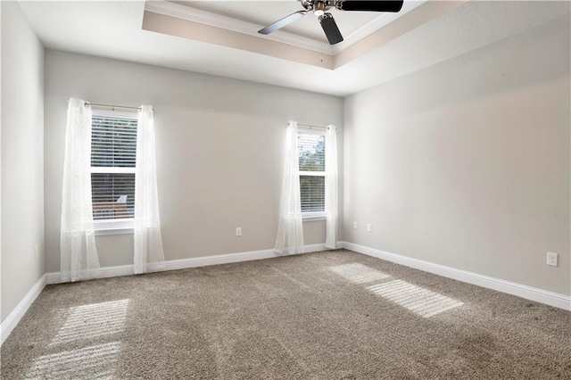 unfurnished room featuring carpet, a tray ceiling, and crown molding