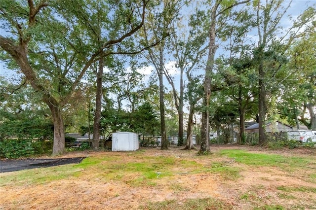 view of yard featuring a shed