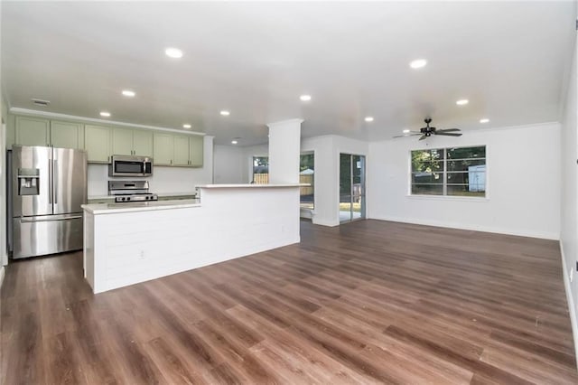 kitchen featuring green cabinets, ceiling fan, stainless steel appliances, and dark hardwood / wood-style flooring