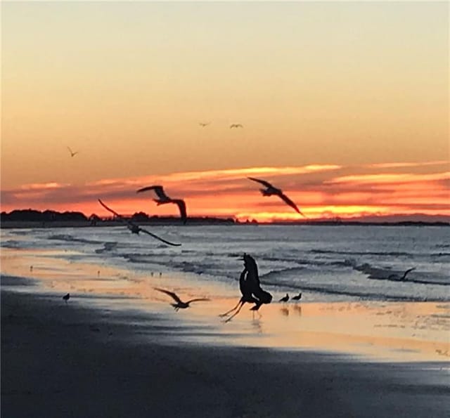 2012 Bienville Blvd, Dauphin Island, AL 36528 - water view featuring nearby beach