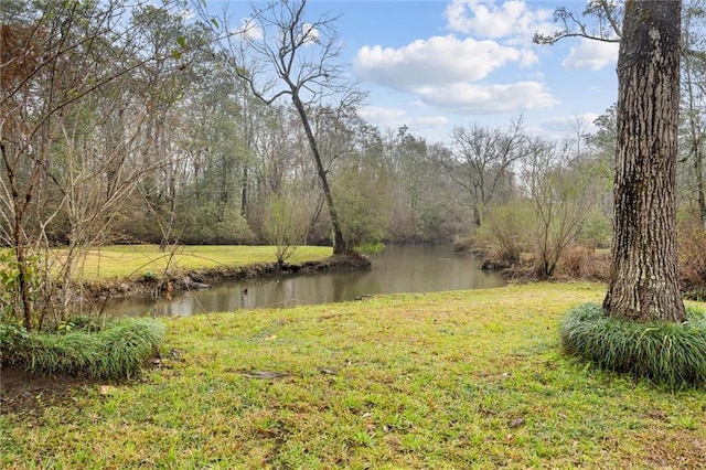 view of yard featuring a water view