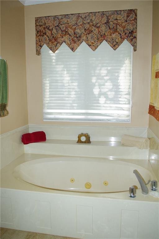 bathroom featuring a washtub and a wealth of natural light