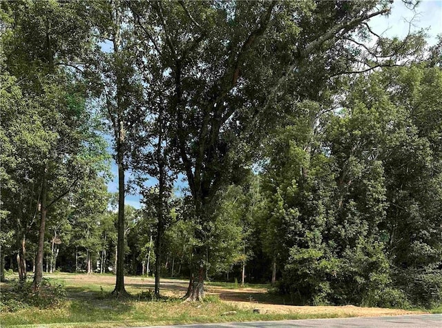 23160 County Road 55, Silverhill AL, 36576 land for sale