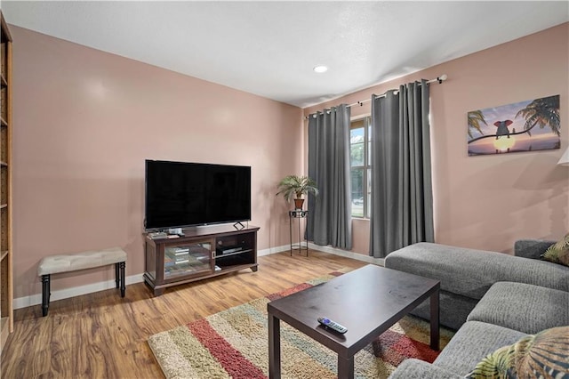 living room featuring wood-type flooring