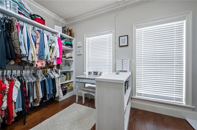 walk in closet featuring wood finished floors