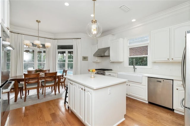 kitchen with white cabinets, under cabinet range hood, stainless steel appliances, and a sink