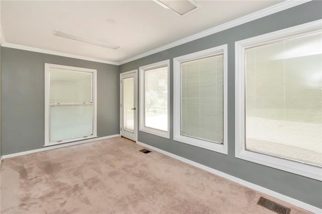 interior space with carpet flooring and ornamental molding