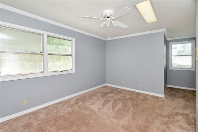 empty room with ceiling fan, carpet flooring, and ornamental molding