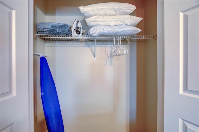 6194 State Highway 59 Unit D-8, Gulf Shores, AL 36542 - view of closet