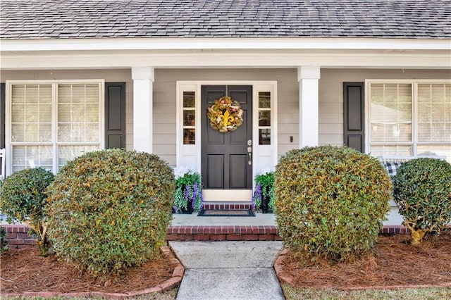 doorway to property featuring a porch and roof with shingles