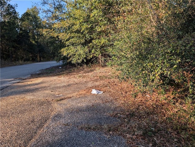 19630 Road St, Citronelle AL, 36522 land for sale