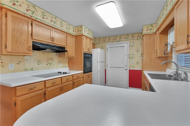 kitchen featuring a textured ceiling, light brown cabinetry, black appliances, and sink