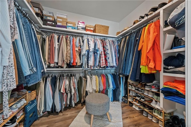 spacious closet with hardwood / wood-style floors