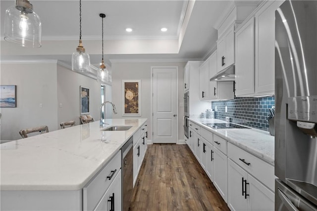 kitchen with a large island, sink, appliances with stainless steel finishes, hanging light fixtures, and white cabinets