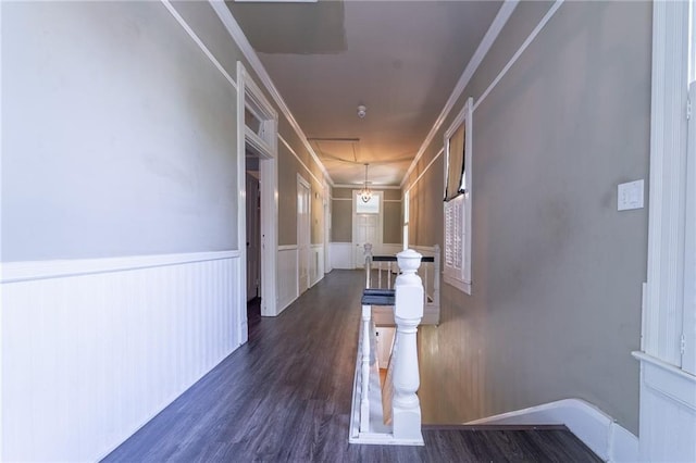 1703 Dauphin St, Mobile, AL 36604 - corridor with wood finished floors, a wainscoted wall, and ornamental molding
