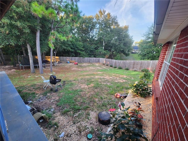 view of yard featuring a trampoline