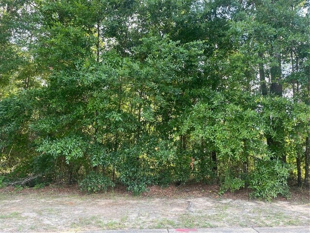 0 Red Maple Dr, Mobile AL, 36618 land for sale