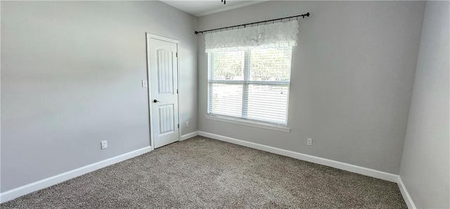 empty room with carpet flooring