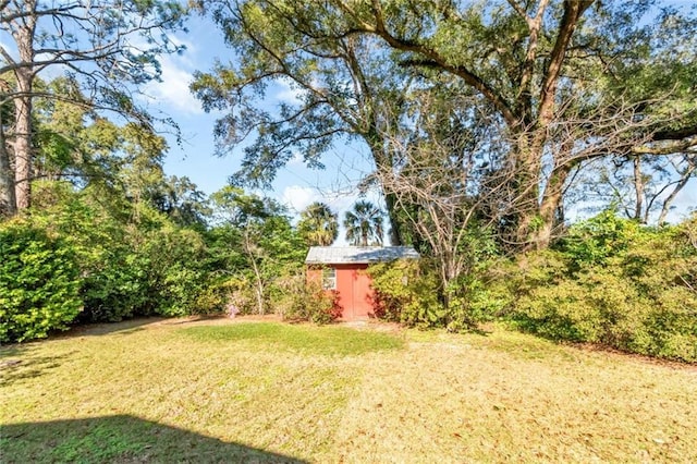 view of yard with a shed