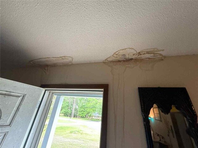 detailed view of a textured ceiling
