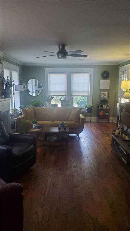 living room with dark hardwood / wood-style floors, ceiling fan, and ornamental molding