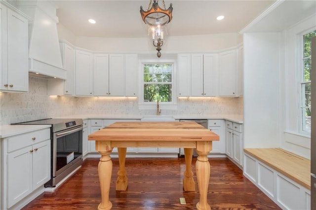 kitchen featuring a wealth of natural light, stainless steel appliances, custom exhaust hood, and tasteful backsplash