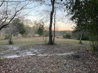 view of yard at dusk