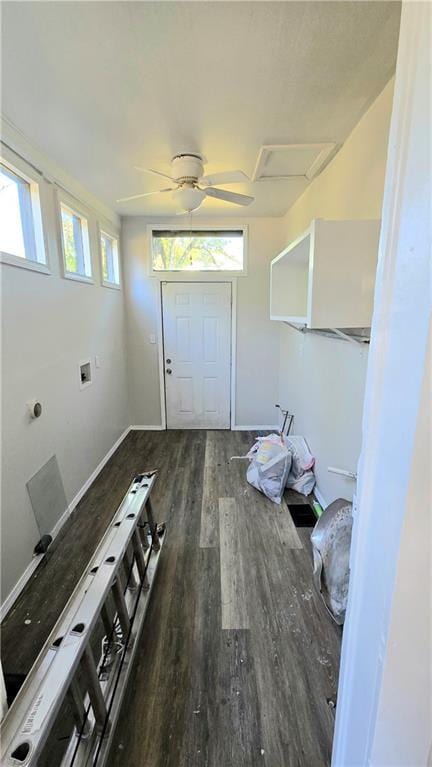 clothes washing area featuring ceiling fan and dark wood-type flooring